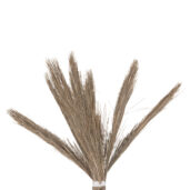 06112025690cedd510d86.jpeg